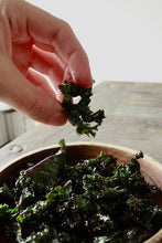 Load image into Gallery viewer, Plant Passion E-books: February