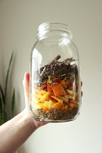 Load image into Gallery viewer, Plant Passion E-books: February