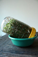 Load image into Gallery viewer, Plant Passion E-books: February