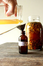 Load image into Gallery viewer, Plant Passion E-books: February