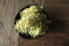 Load image into Gallery viewer, Plant Passion E-books: February