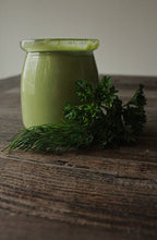 Load image into Gallery viewer, Plant Passion E-books: January