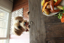 Load image into Gallery viewer, Plant Passion E-books: January