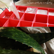 Load image into Gallery viewer, Plant Passion E-books: Spring/Summer