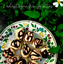 Load image into Gallery viewer, Plant Passion E-books: Spring/Summer