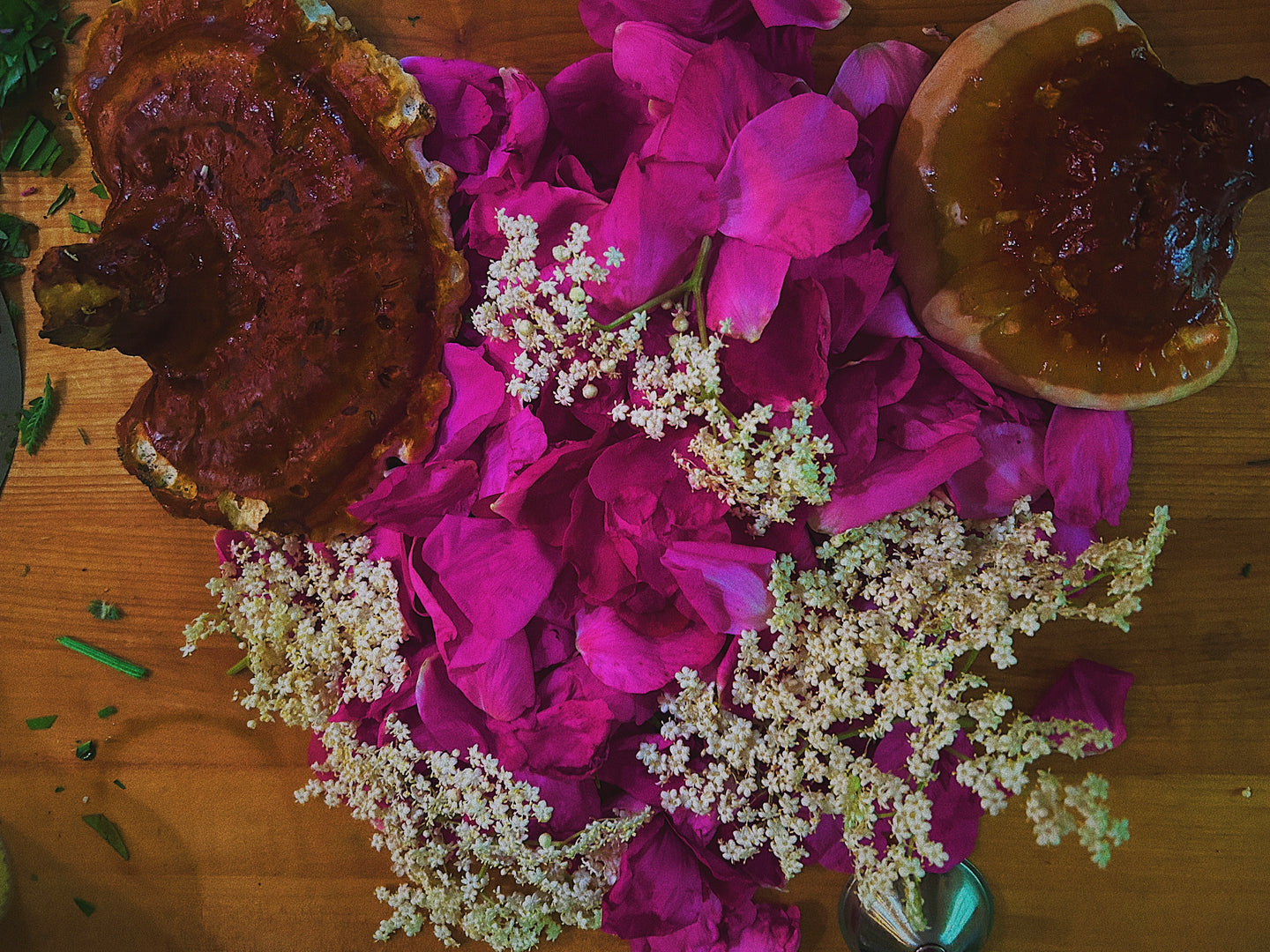 Earth Wisdom Botanica Gift Card